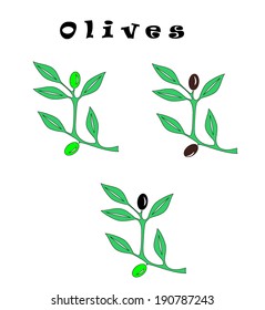 set of 3 olive branches, vector illustration
