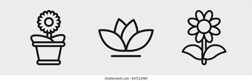 Set of 3 outline botanicicons