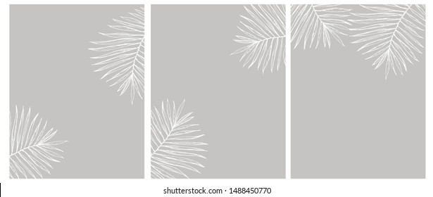 Set 3 Palm Leves Vector Illustration  White Palm Tree Leaf Isolated Gray Background  Simple Elegant Wedding Cards  Floral Hand Drawn Arts  Illustration Without Text 