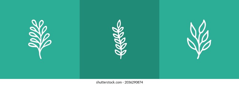 Set of 3 plant icon on green background 
