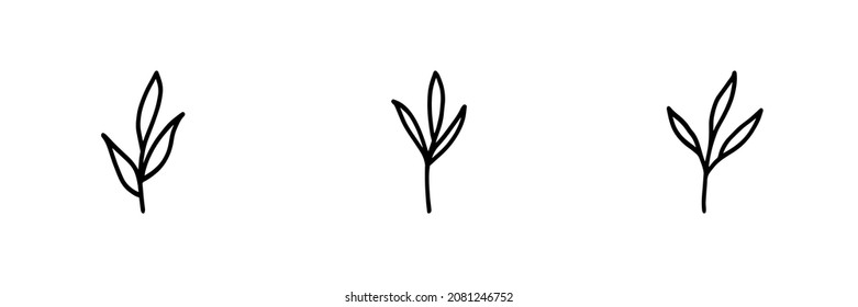 Set of 3 plant icons on white background.