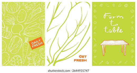 Set of 3 poster designs in healthy food concept, Veggie Time! Series. Cute hand drawn vegetables illustration in minimal style, perfect for poster, postcard, wall art decor, brochure or menu cover.