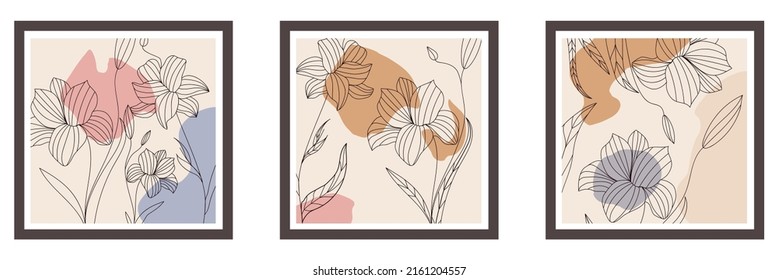 Un conjunto de 3 afiches de estilo moderno con flores delineadas y manchas abstractas. Ilustración de material vectorial. Fondo beige