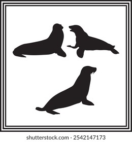 Set of 3 seal silhouette, ocean animal