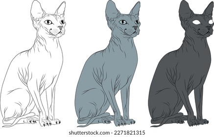 Set of 3 sitting Sphynx cats realistic hand drawn vector isolated high resolution grey outline magic