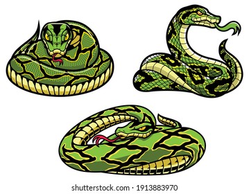 Conjunto de 3 mascotas de serpiente con diferentes tipos de reptiles verdes.