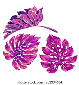 set of 3 tropical leaves in vibrant pinks. very detailed vector illustration of island plants.