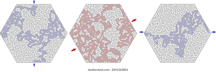 Set of 3 vector hexagonal labyrinth of high complexity with solution. Black and white complex mazes with very high level of difficulty. Nice brainstorm puzzles for clever pupils or students.