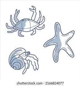 Set of 3 vector illustrations of sea creatures crab, hermit crab, starfish blue line contour with partial filling.