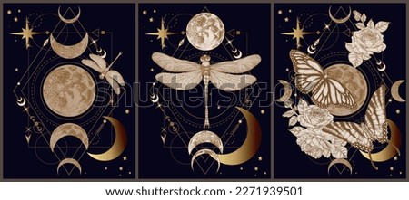 Set of 3 vector mystical illustrations with butterflies, dragonflies, moon, stars, rose flowers on a geometric magical background