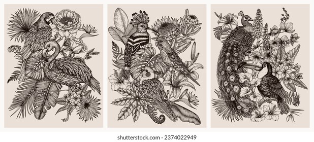 Set of 3 vector posters. Tropical garden with exotic birds. Macaw parrot, toucan, hoopoe, peacock, flamingos, budgie and cockatiel parrot in engraving style