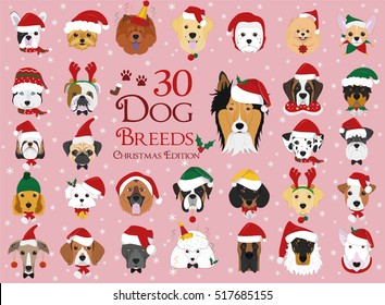 Set of 30 dog breeds with Christmas and winter themes