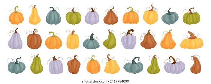 Set 30 pcs pumpkins, squash vector symbols illustrations. Cartoon pumpkins, halloween squash, fall harvest gourds. Autumn thanksgiving and halloween pumpkins collection.