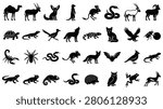 Set of 32 black desert animal silhouettes including camel, lizard, snake, scorpion, fox, and eagle. Minimalist vector icons isolated on white background for graphic design elements.