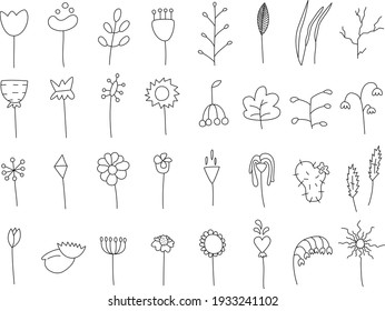 Conjunto de 32 diferentes elementos botánicos florales dibujados a mano para el diseño