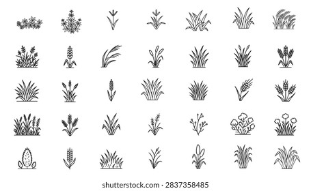 A set of 35 black line art icons depicting various types of grain, wild grass, and herbaceous vegetation.