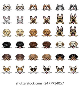 A set of 36 peeking dog portraits of seven different breeds.  Vector art.