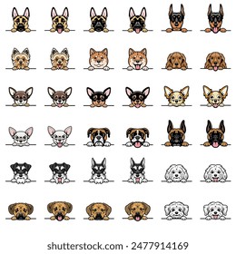 A set of 36 peeking dog portraits of 10 different breeds. Vector art.