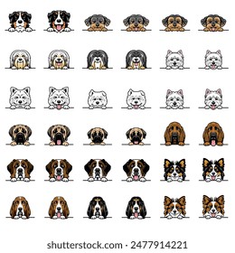 A set of 36 peeking dog portraits of 10 different breeds.  Vector art.