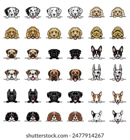 A set of 36 peeking dog portraits of 11 different breeds. Vector art.