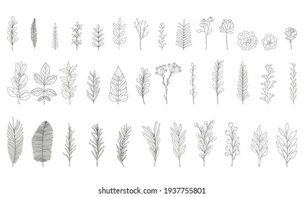 A set of 37 hand-drawn twigs with leaves. Doodle style. Botanical, plant elements for design of postcards, invitations, creating patterned brushes. Isolated on white. Black-white vector illustration.