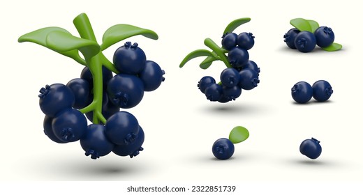 Set of 3D blueberries. Ripe blue berries in bunches and individually. Twigs with leaves and berries, view from different sides. Isolated vector image with shadows