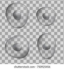 Set of 3d grey oval human cells isolated on transparent background. Realistic vector illustration. Template for medicine and biology presentations, flyers, posters. Eps10.