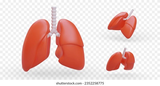 Juego de pulmones 3D. Órganos respiratorios humanos. Símbolo de aliento. Concepto médico. Servicio de examen, fluorografía. Atención de la salud. Imágenes vectoriales, iconos. Enfermedades respiratorias, alergias