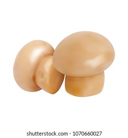 Set of 3d Mushrooms. Vector illustration. Collection of whole champignons isolated on white background.