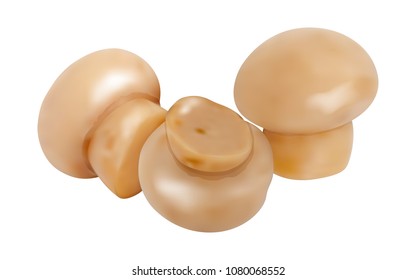 Set of 3d Mushrooms. Vector illustration. Collection of whole champignons isolated on white background.