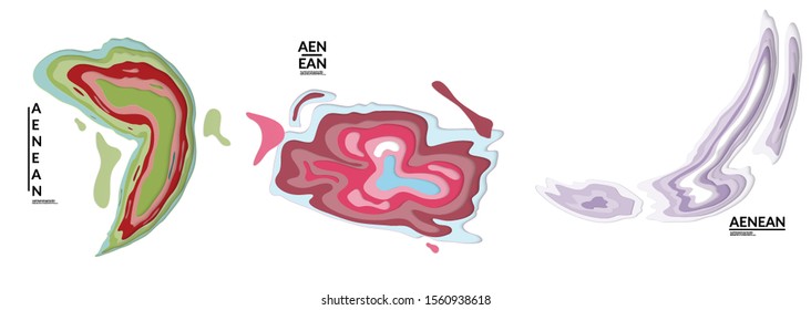 Set of 3D paper cut wavy holes. Vector paper cut layers create topography map concept or smooth origami paper carving craft. Wavy layered material design paper art isolated design elements.