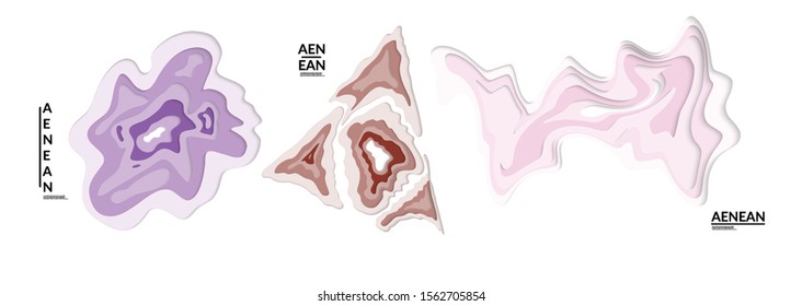 Set of 3D paper cut wavy holes. Vector paper cut layers create topography map concept or smooth origami paper carving craft. Wavy layered material design paper art isolated design elements.