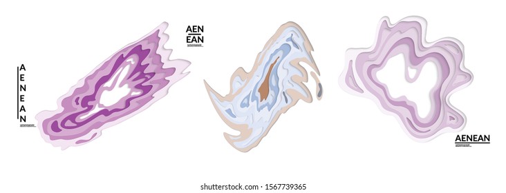Set of 3D paper cut wavy holes. Vector paper cut layers create topography map concept or smooth origami paper carving craft. Wavy layered material design paper art isolated design elements.