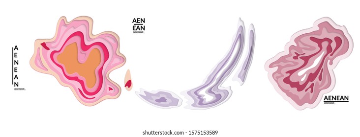 Set of 3D paper cut wavy holes. Vector paper cut layers create topography map concept or smooth origami paper carving craft. Wavy layered material design paper art isolated design elements.
