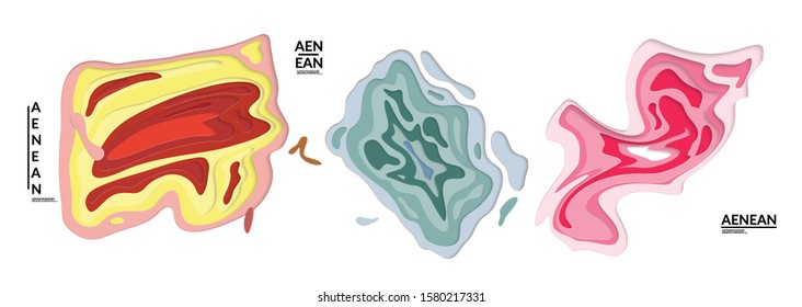 Set of 3D paper cut wavy holes. Vector paper cut layers create topography map concept or smooth origami paper carving craft. Wavy layered material design paper art isolated design elements.