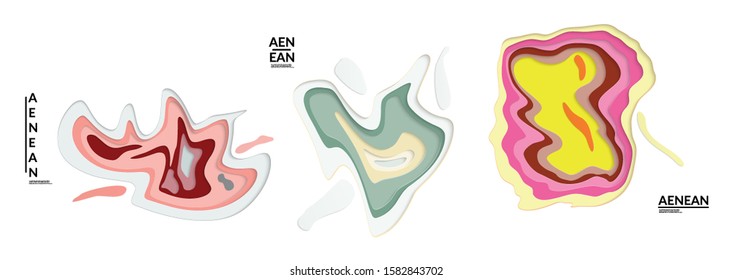 Set of 3D paper cut wavy holes. Vector paper cut layers create topography map concept or smooth origami paper carving craft. Wavy layered material design paper art isolated design elements.