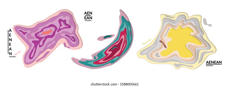 Set of 3D paper cut wavy holes. Vector paper cut layers create topography map concept or smooth origami paper carving craft. Wavy layered material design paper art isolated design elements.