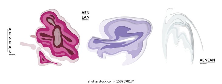 Set of 3D paper cut wavy holes. Vector paper cut layers create topography map concept or smooth origami paper carving craft. Wavy layered material design paper art isolated design elements.