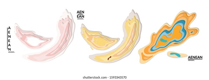 Set of 3D paper cut wavy holes. Vector paper cut layers create topography map concept or smooth origami paper carving craft. Wavy layered material design paper art isolated design elements.