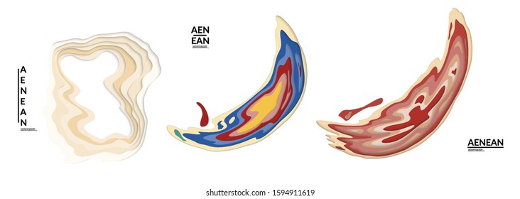 Set of 3D paper cut wavy holes. Vector paper cut layers create topography map concept or smooth origami paper carving craft. Wavy layered material design paper art isolated design elements.