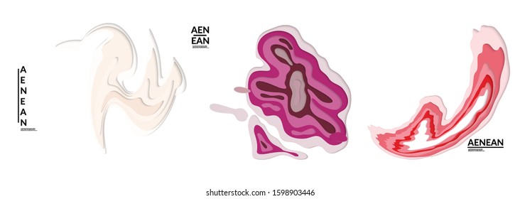 Set of 3D paper cut wavy holes. Vector paper cut layers create topography map concept or smooth origami paper carving craft. Wavy layered material design paper art isolated design elements.