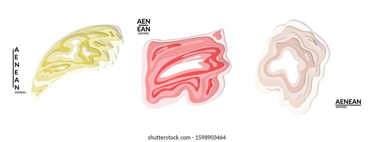 Set of 3D paper cut wavy holes. Vector paper cut layers create topography map concept or smooth origami paper carving craft. Wavy layered material design paper art isolated design elements.