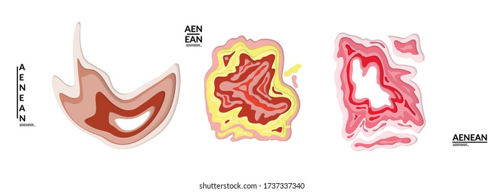 Set of 3D paper cut wavy holes. Vector paper cut layers create topography map concept or smooth origami paper carving craft. Wavy layered material design paper art isolated design elements.