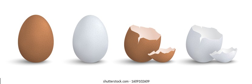 Set of 3d realistic eggs isolated vector elements