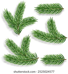 Set von 3D realistischen immergrünen Kiefernzweigen für eine Weihnachtsdekoration. Vektorgrafik. Grüne Nadeln für Weihnachtsfeiertage im Winter.