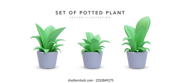 Set of 3d realistic potted plant with shadow isolated on white background. Vector illustration
