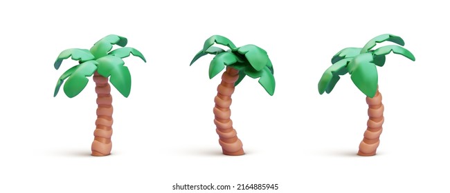 Set of 3d realistic render palm isolated on white background. Vector illustration