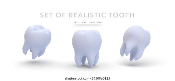 Set of 3d realistic tooth isolated on white background. Vector illustration