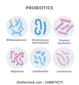 Set of 3d render Probiotic Bacteria Bulgaricus, Lactobacillus, Propionbacterium. Lactococcus, Streptococcus Thermofillus, Bifidobacterium. Vector Illustration