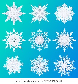 set of 3D snowflakes isolated on blue background vector